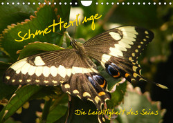 Schmetterlinge (Wandkalender 2022 DIN A4 quer) von Pressmann,  Alla