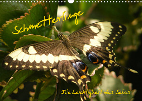 Schmetterlinge (Wandkalender 2023 DIN A3 quer) von Pressmann,  Alla
