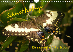 Schmetterlinge (Wandkalender 2023 DIN A4 quer) von Pressmann,  Alla
