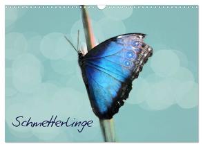 Schmetterlinge (Wandkalender 2024 DIN A3 quer), CALVENDO Monatskalender von Hultsch,  Heike