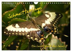 Schmetterlinge (Wandkalender 2024 DIN A4 quer), CALVENDO Monatskalender von Pressmann,  Alla