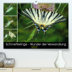 Schmetterlinge – Wunder der Verwandlung (Premium, hochwertiger DIN A2 Wandkalender 2023, Kunstdruck in Hochglanz) von Eisenreich,  Wilhelm