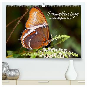 Schmetterlinge – zarte Geschöpfe der Natur (hochwertiger Premium Wandkalender 2024 DIN A2 quer), Kunstdruck in Hochglanz von Viola,  Melanie