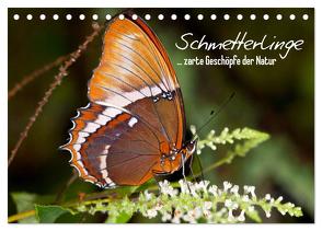 Schmetterlinge – zarte Geschöpfe der Natur (Tischkalender 2024 DIN A5 quer), CALVENDO Monatskalender von Viola,  Melanie