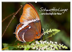 Schmetterlinge – zarte Geschöpfe der Natur (Wandkalender 2024 DIN A2 quer), CALVENDO Monatskalender von Viola,  Melanie