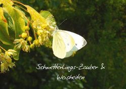 Schmetterlings-Zauber & Weisheiten (Posterbuch DIN A2 quer) von Stremme,  Renate