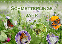 Schmetterlingsjahr (Tischkalender 2023 DIN A5 quer) von B-B Müller,  Christine