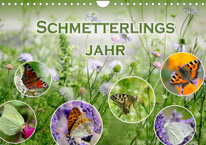 Schmetterlingsjahr (Wandkalender 2023 DIN A4 quer) von B-B Müller,  Christine