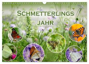 Schmetterlingsjahr (Wandkalender 2024 DIN A3 quer), CALVENDO Monatskalender von B-B Müller,  Christine