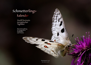 Schmetterlingskalender von Lux,  Hartmut
