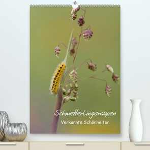 Schmetterlingsraupen – Verkannte Schönheiten (Premium, hochwertiger DIN A2 Wandkalender 2021, Kunstdruck in Hochglanz) von Pelzer (Pelzer-Photography),  Claudia