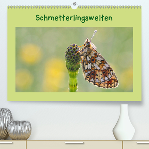 Schmetterlingswelten (Premium, hochwertiger DIN A2 Wandkalender 2020, Kunstdruck in Hochglanz) von Berger (Kabefa),  Karin