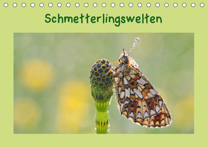 Schmetterlingswelten (Tischkalender 2020 DIN A5 quer) von Berger (Kabefa),  Karin