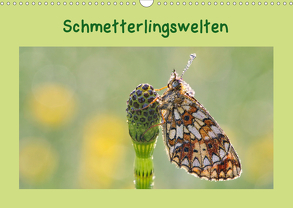 Schmetterlingswelten (Wandkalender 2020 DIN A3 quer) von Berger (Kabefa),  Karin