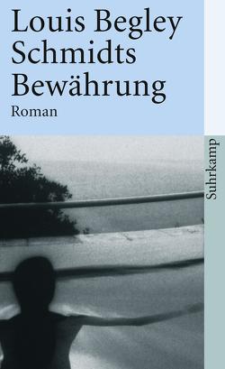 Schmidts Bewährung von Begley,  Louis, Krüger,  Christa