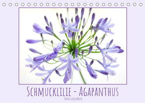 Schmucklilie – Agapanthus (Tischkalender 2023 DIN A5 quer) von Kruse,  Gisela