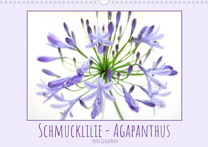 Schmucklilie – Agapanthus (Wandkalender 2023 DIN A3 quer) von Kruse,  Gisela