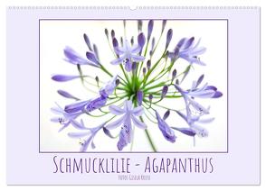 Schmucklilie – Agapanthus (Wandkalender 2024 DIN A2 quer), CALVENDO Monatskalender von Kruse,  Gisela