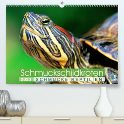 Schmuckschildkröten: Schmucke Reptilien (Premium, hochwertiger DIN A2 Wandkalender 2023, Kunstdruck in Hochglanz) von CALVENDO