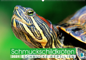 Schmuckschildkröten: Schmucke Reptilien (Wandkalender 2021 DIN A2 quer) von CALVENDO