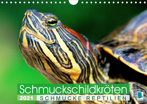 Schmuckschildkröten: Schmucke Reptilien (Wandkalender 2021 DIN A4 quer) von CALVENDO