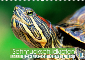 Schmuckschildkröten: Schmucke Reptilien (Wandkalender 2022 DIN A2 quer) von CALVENDO