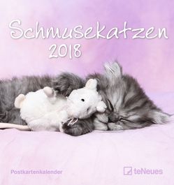 Schmusekatzen 2018