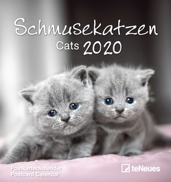Schmusekatzen 2020