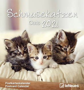 Schmusekatzen 2021 – Postkarten-Kalender – Kalender-mit-Postkarten – zum-raustrennen – 16×17
