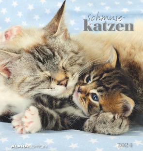 Schmusekatzen 2024 – Postkartenkalender 16×17 cm – Katzen – zum Aufstellen oder Aufhängen – Monatskalendarium – Gadget – Mitbringsel – Alpha Edition