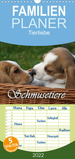 Schmusetiere – Familienplaner hoch (Wandkalender 2022 , 21 cm x 45 cm, hoch) von Lindert-Rottke,  Antje