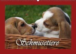 Schmusetiere (Wandkalender 2018 DIN A2 quer) von Lindert-Rottke,  Antje