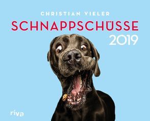 Baby Hunde Suss Alle Bucher Und Publikation Zum Thema