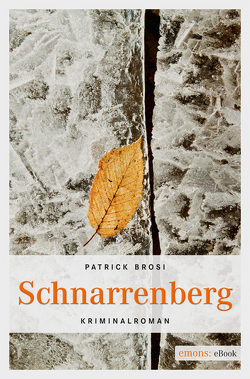 Schnarrenberg von Brosi,  Patrick