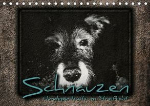 Schnauzen – Hundeportraits im Streiflicht (Tischkalender 2018 DIN A5 quer) von Bleicher,  Renate