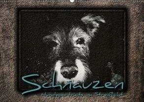 Schnauzen – Hundeportraits im Streiflicht (Wandkalender 2018 DIN A2 quer) von Bleicher,  Renate