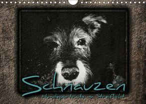 Schnauzen – Hundeportraits im Streiflicht (Wandkalender 2018 DIN A4 quer) von Bleicher,  Renate