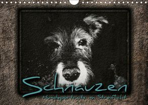 Schnauzen – Hundeportraits im Streiflicht (Wandkalender 2019 DIN A4 quer) von Bleicher,  Renate