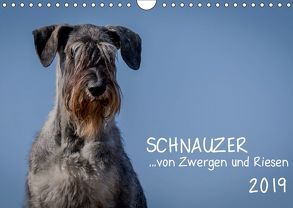 Schnauzer… von Zwergen und Riesen 2019 (Wandkalender 2019 DIN A4 quer) von Janz,  Michael