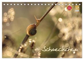 Schneckchen (Tischkalender 2024 DIN A5 quer), CALVENDO Monatskalender von Doberstein,  Judith