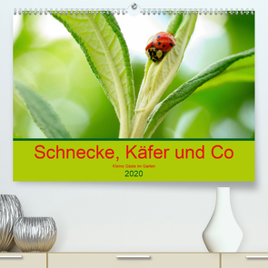 Schnecke, Käfer und Co (Premium, hochwertiger DIN A2 Wandkalender 2020, Kunstdruck in Hochglanz) von Kunz,  Ilse