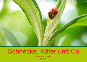 Schnecke, Käfer und Co (Wandkalender 2021 DIN A3 quer) von Kunz,  Ilse