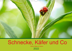 Schnecke, Käfer und Co (Wandkalender 2022 DIN A3 quer) von Kunz,  Ilse