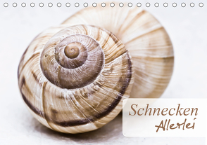 Schnecken Allerlei (Tischkalender 2021 DIN A5 quer) von Stela-photoart