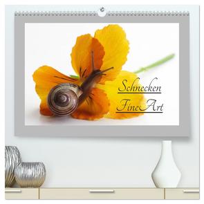 Schnecken FineArt (hochwertiger Premium Wandkalender 2024 DIN A2 quer), Kunstdruck in Hochglanz von Riedel,  Tanja