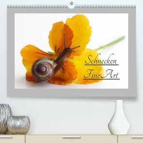 Schnecken FineArt (Premium, hochwertiger DIN A2 Wandkalender 2022, Kunstdruck in Hochglanz) von Riedel,  Tanja