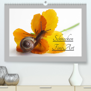 Schnecken FineArt (Premium, hochwertiger DIN A2 Wandkalender 2023, Kunstdruck in Hochglanz) von Riedel,  Tanja