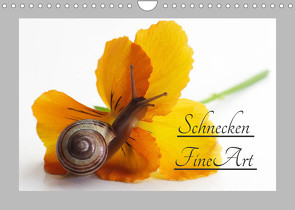 Schnecken FineArt (Wandkalender 2022 DIN A4 quer) von Riedel,  Tanja