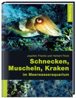 Schnecken, Muscheln, Kraken im Meerwasseraquarium von Finck,  Herbert, Frische,  Joachim