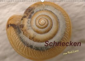 Schnecken (Wandkalender 2019 DIN A3 quer) von LoRo-Artwork